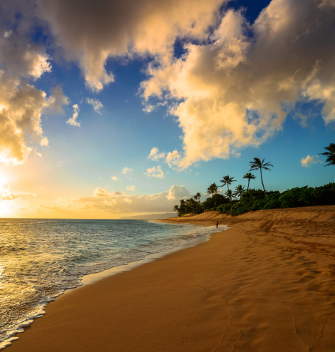 maui